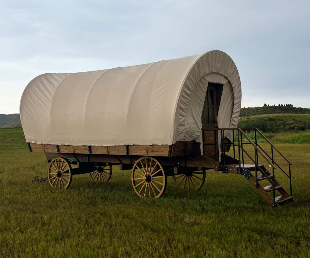 conestoga standard wagon